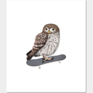 Little Owl Bird Skateboard Birdwatcher Animal Biologist Posters and Art